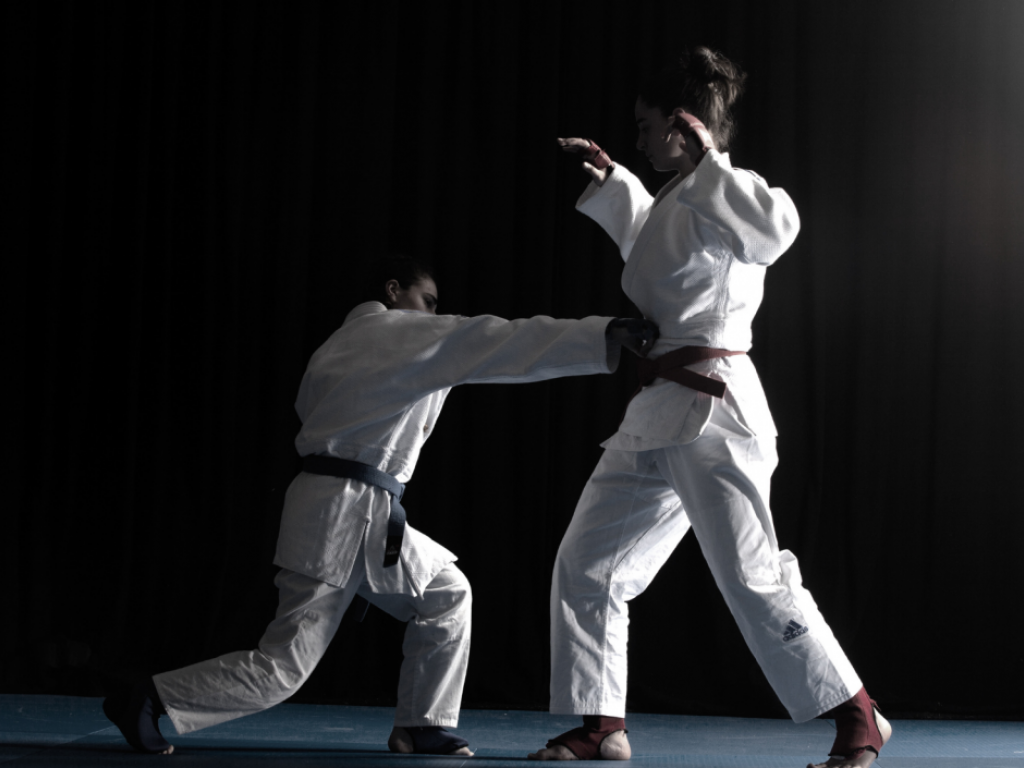 Image de l'actu 'Interventions Jujitsu 95'