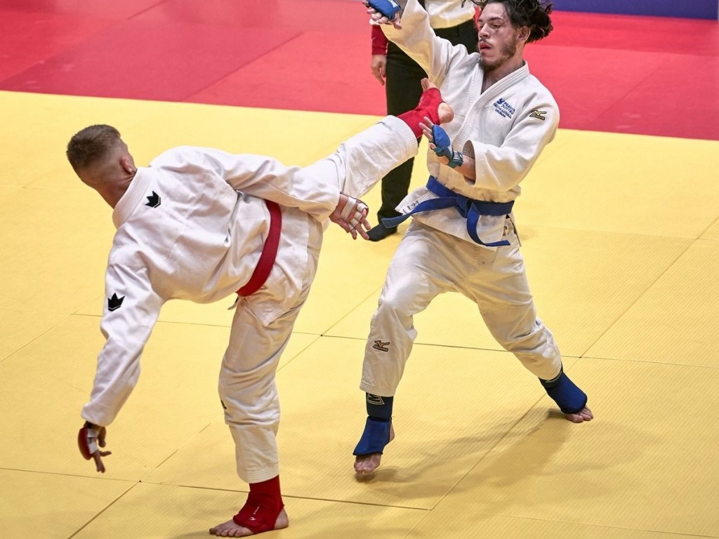 Image de l'actu 'Championnat IDF jujitsu'