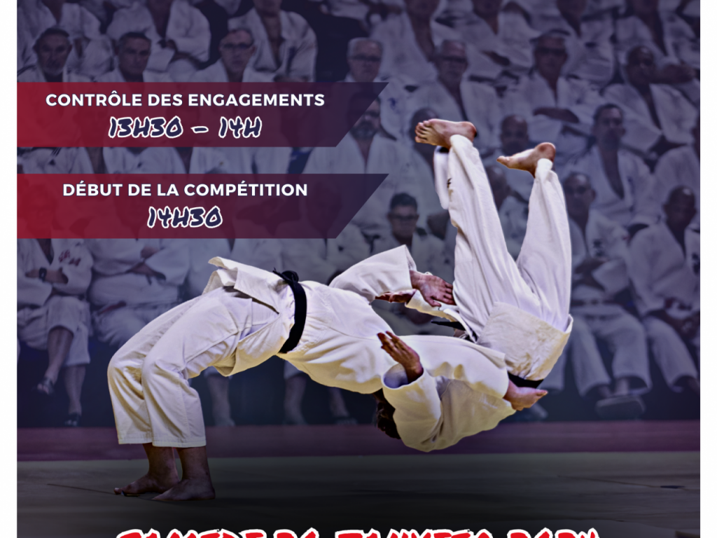 Image de l'actu 'Coupe IDF kata'
