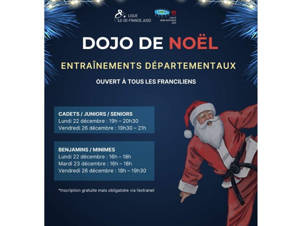 Image de l'actu 'DOJO DE NOEL - COMITE 93 JUDO'