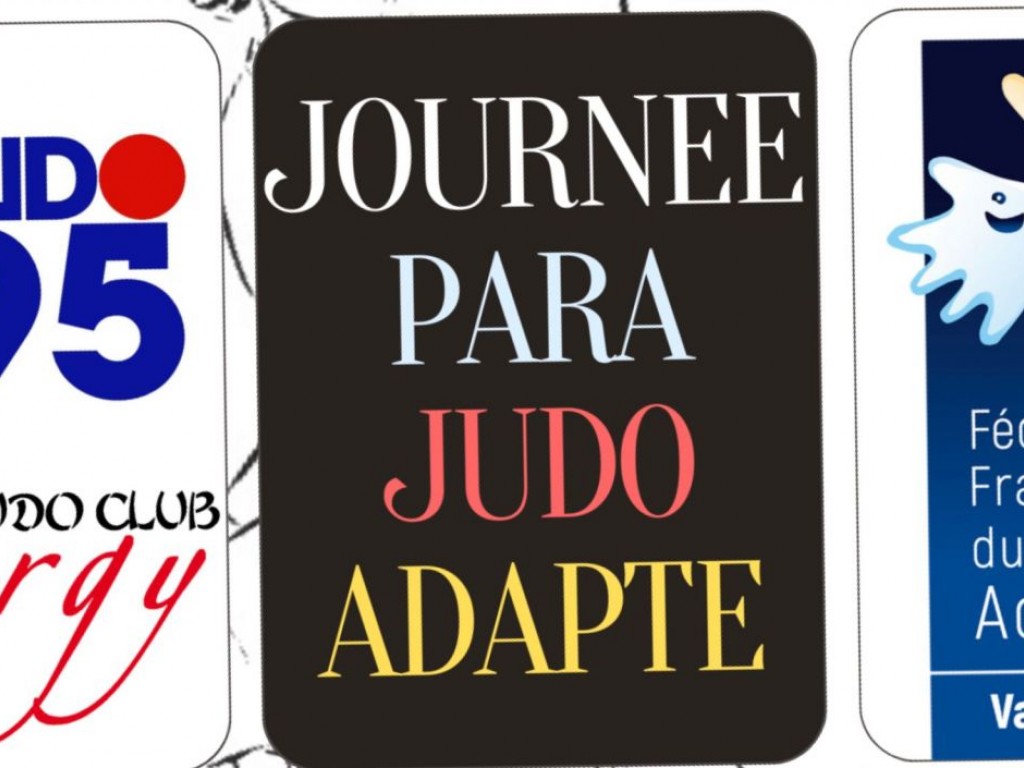 Image de l'actu 'Journée para judo adapté - 95'