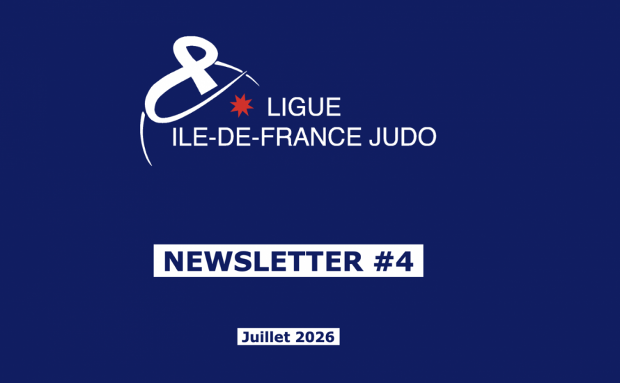 NEWSLETTER IDF #4