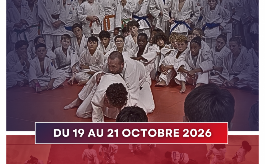 STAGE IDF MINIMES